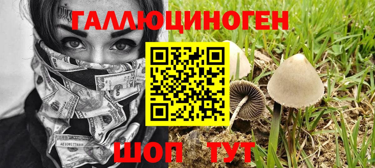 Псилоцибиновые грибы ЛСД  Вход с VPN  Миасс  Галлюциногенные грибы Psilocybine cubensis 
